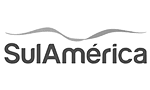 logo sul america